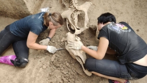 У Вінниці тривають археологічні розкопки: виявлено курганний могильник і  два поселення - Вінниця 24